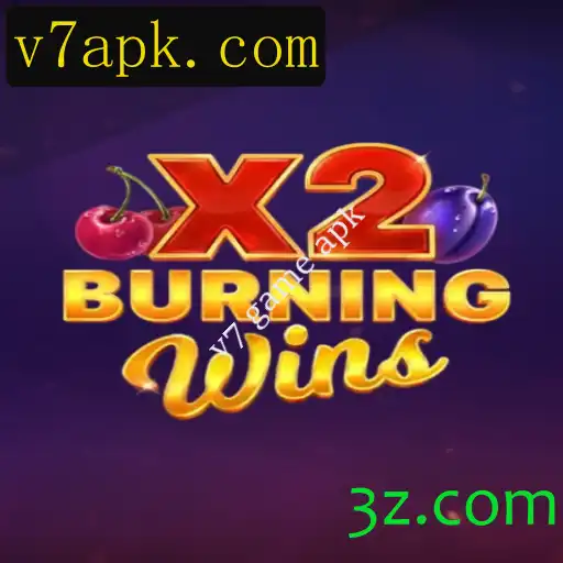 Descubra o Mundo Empolgante de BurningWinsX2