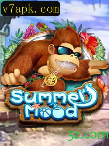 Descubra o Jogo SummerMood: Regras, Descrição e Como Jogar